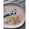 Sýkorka tanier